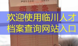 欢迎使用临川人才档案查询网站入口