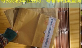 寻找你的毕业去向：粤省事档案查询