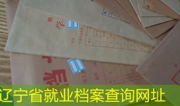辽宁省就业档案查询网址