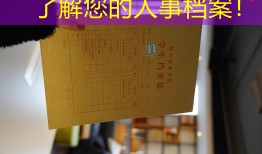 了解您的人事档案！