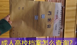 成人高校档案怎么查询？