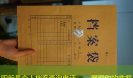 阳新县个人档案查询电话——展现你的数据