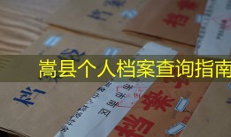 嵩县个人档案查询指南