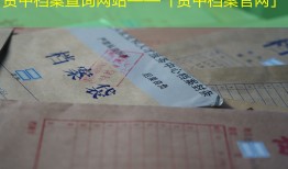资中档案查询网站——「资中档案官网」