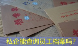 私企能查询员工档案吗？