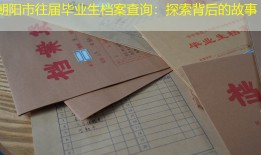 朝阳市往届毕业生档案查询：探索背后的故事