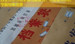 西安人才市场学籍档案查询：快速查询你的学籍档案信息