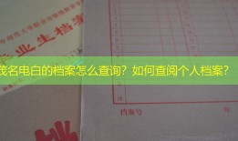茂名电白的档案怎么查询？如何查阅个人档案？