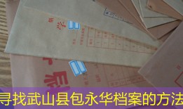 寻找武山县包永华档案的方法