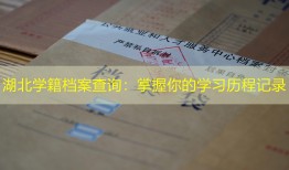 湖北学籍档案查询：掌握你的学习历程记录