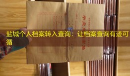 盐城个人档案转入查询：让档案查询有迹可循