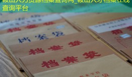 鞍山人力资源档案查询网_鞍山人才档案在线查询平台