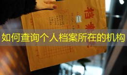 如何查询个人档案所在的机构