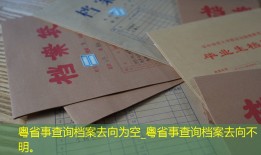 粤省事查询档案去向为空_粤省事查询档案去向不明。