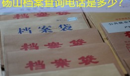砀山档案查询电话是多少？