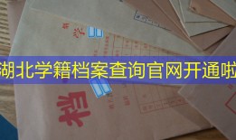 湖北学籍档案查询官网开通啦