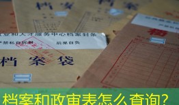 档案和政审表怎么查询？