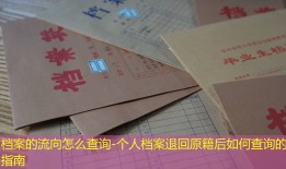 档案的流向怎么查询-个人档案退回原籍后如何查询的指南
