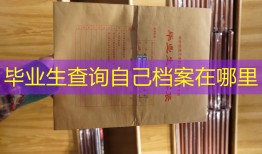 毕业生查询自己档案在哪里