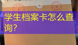 学生档案卡怎么查询？