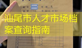 汕尾市人才市场档案查询指南