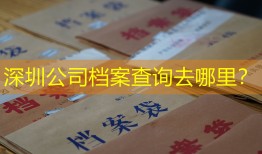 深圳公司档案查询去哪里？