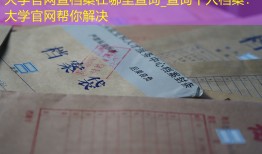 大学官网查档案在哪里查询_查询个人档案：大学官网帮你解决