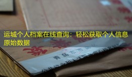 运城个人档案在线查询：轻松获取个人信息原始数据