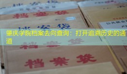 肇庆学院档案去向查询：打开追溯历史的通道