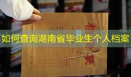 如何查询湖南省毕业生个人档案
