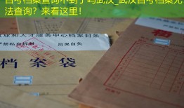 自考档案查询不到了吗武汉_武汉自考档案无法查询？来看这里！