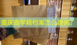 重庆查学籍档案怎么查询？