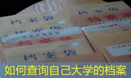 如何查询自己大学的档案