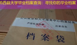 黔西县大学毕业档案查询：寻找你的毕业档案