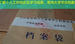 了解个人工作经历及学习成果，查询大学毕业档案