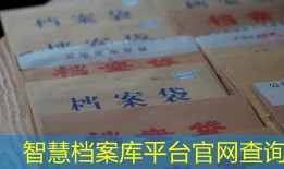 智慧档案库平台官网查询