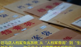 驻马店人档案查询系统_从“人档案查询”到“生命树节点”——驻马店个人档案管理系统的启示