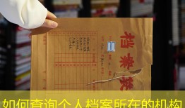 如何查询个人档案所在的机构