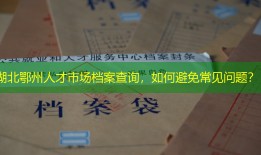湖北鄂州人才市场档案查询，如何避免常见问题？