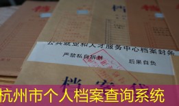 杭州市个人档案查询系统