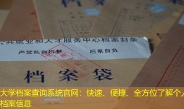 大学档案查询系统官网：快速、便捷、全方位了解个人档案信息