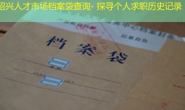 绍兴人才市场档案袋查询- 探寻个人求职历史记录