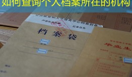 如何查询个人档案所在的机构