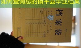 如何查询您的镇平县毕业档案