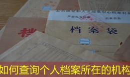 如何查询个人档案所在的机构
