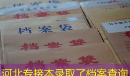 河北专接本录取了档案查询