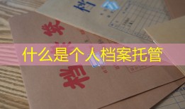 什么是个人档案托管