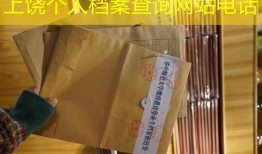 上饶个人档案查询网站电话