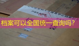 档案可以全国统一查询吗？