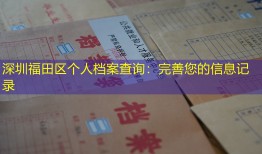 深圳福田区个人档案查询：完善您的信息记录